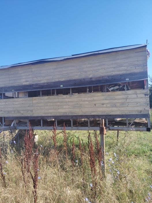 Vând Pavilion apicol 50