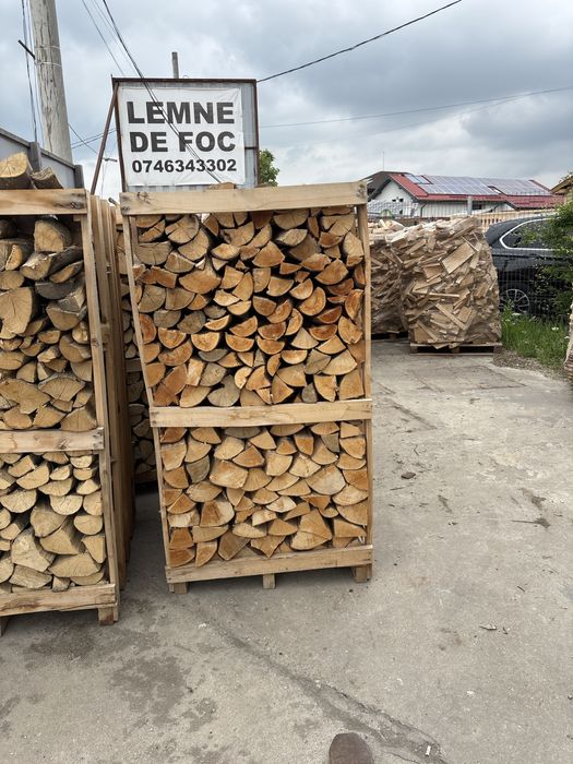 Legaturi lemn de fag