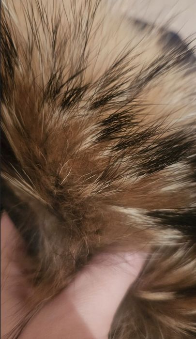 Продам парку для мальчика