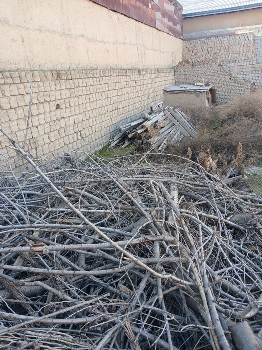 Oʻtim sotiladi продаётся дрова