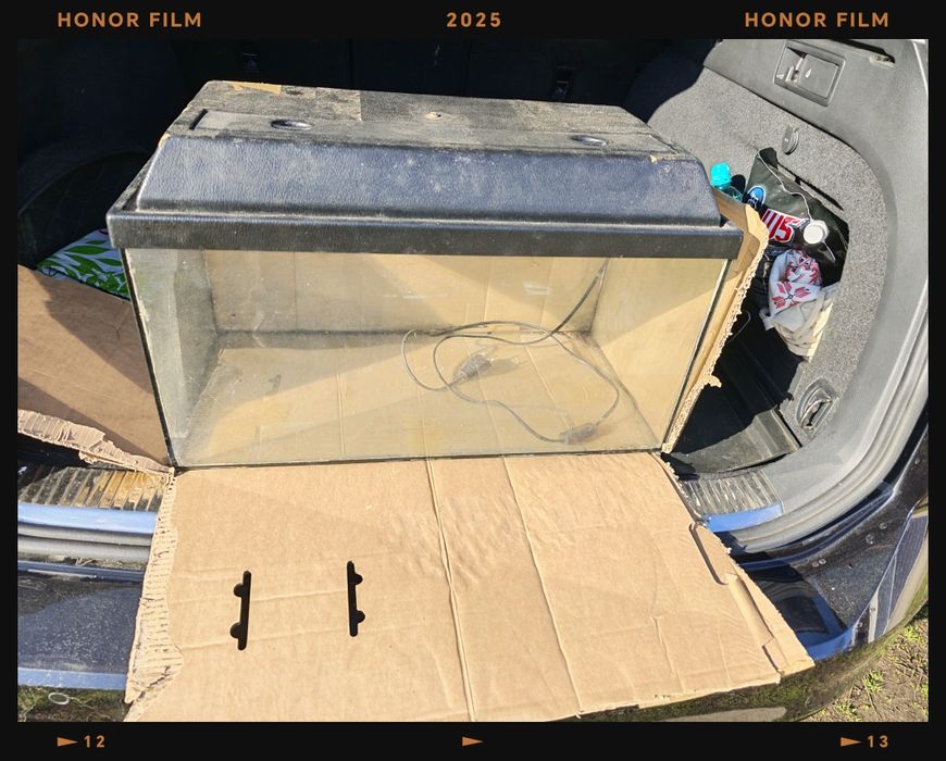 Vând acvariu pești 60 l