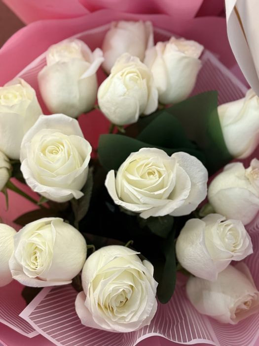 Гулдер кеше берген