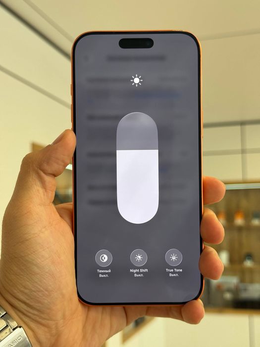 iPhone 17 Pro Max | 256 gb