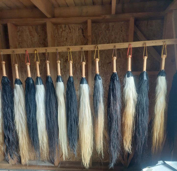 Pleaftura, coada de cal pentru urs sau badanari