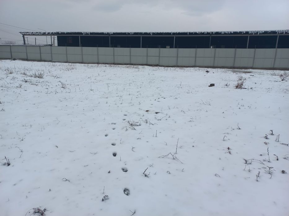 Продам участок 40 соток