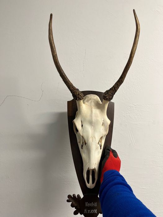 Трофей от шилар, лов и риболов