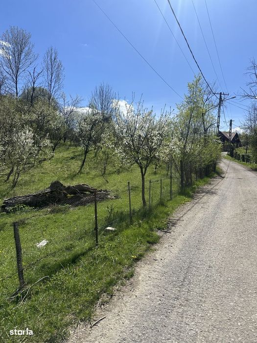 Provița de Jos - teren intravilan 2035mp - 13 Euro/mp