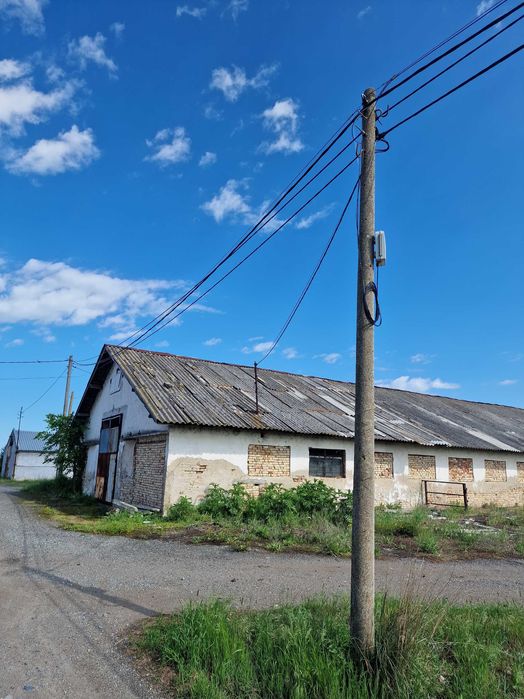 Склад / Стопански двор село Новоселец