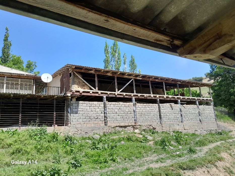 Галавасой паселкаси Тогизкол кучаси 8 чи уй котта ховли уй 24 сотик