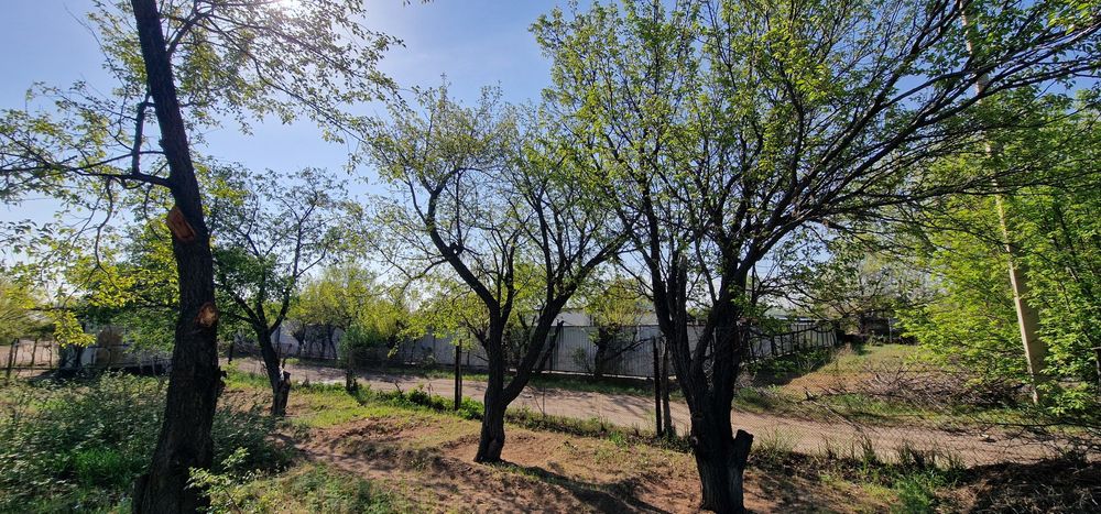 Срочно продам дачу