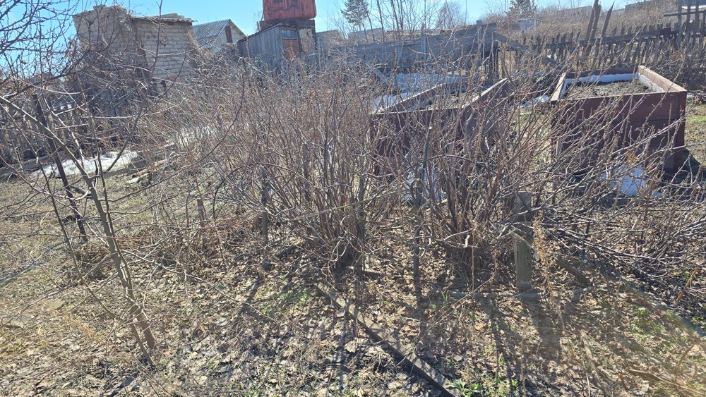 ПРОДАМ Дачу в Мелиораторе