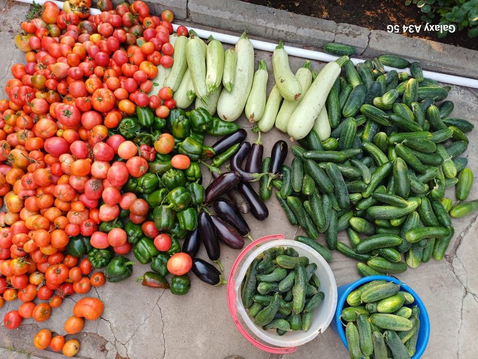 Продам дачу район Келешек