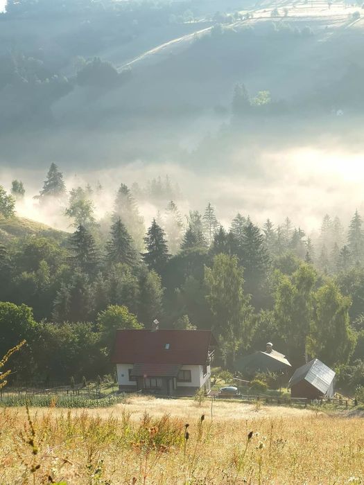 Cabana de inchiriat -"Apple Glade" Poiana Mărului