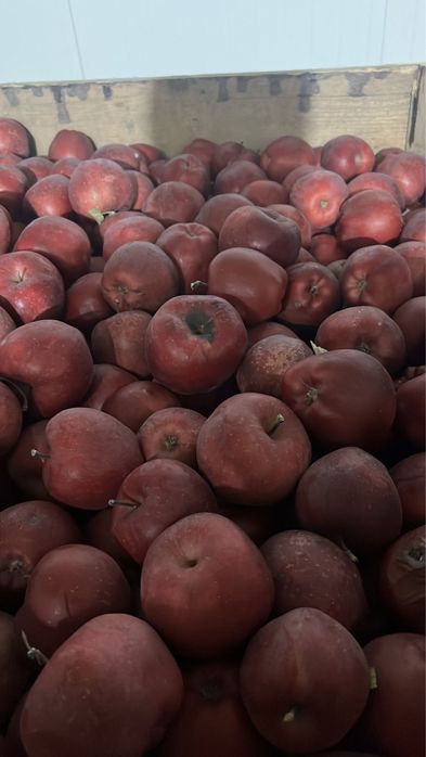 Mere       de      consum