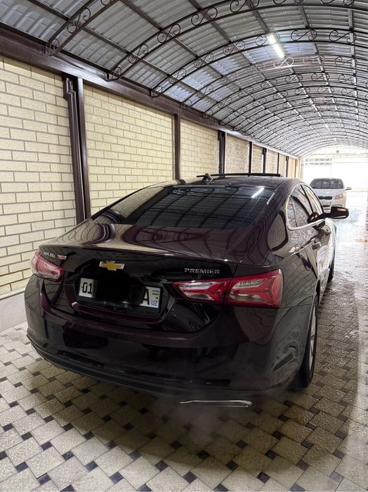 Malibu 2. PREMIER. Bozorchila qimasin