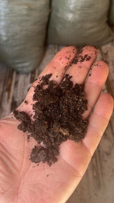 Перегной навоз чистый