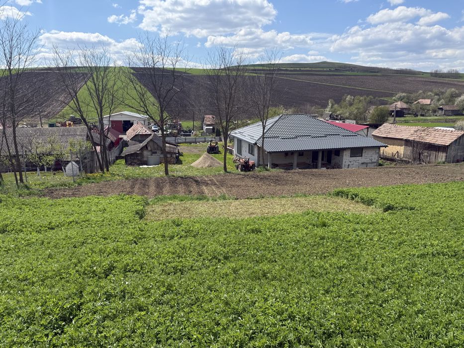 Casa de vanzare 175m2