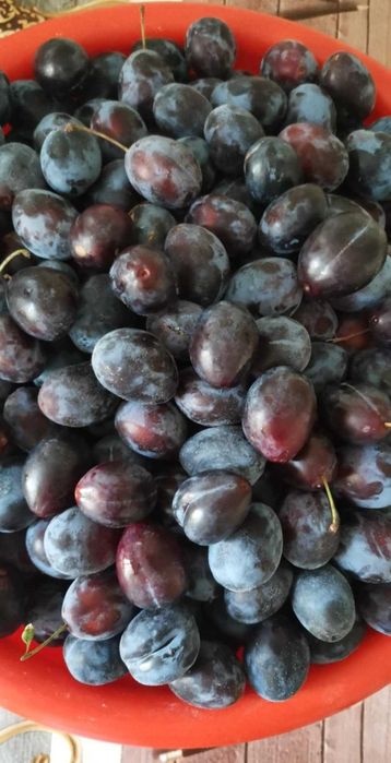 Vand prune Giurgiu