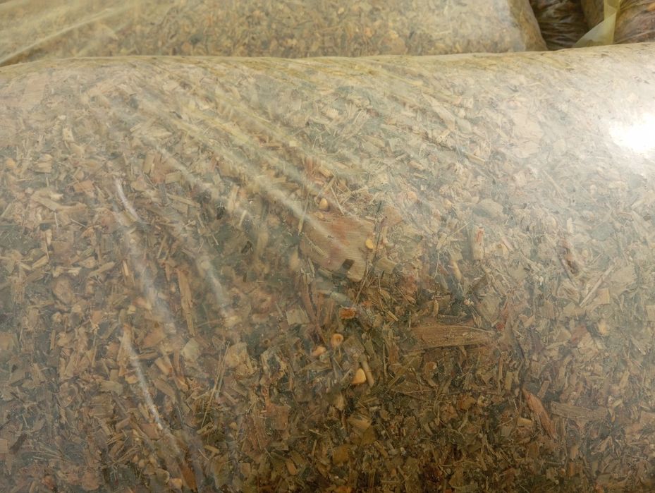 Donli Donli Selos!! Дастафки есть машины