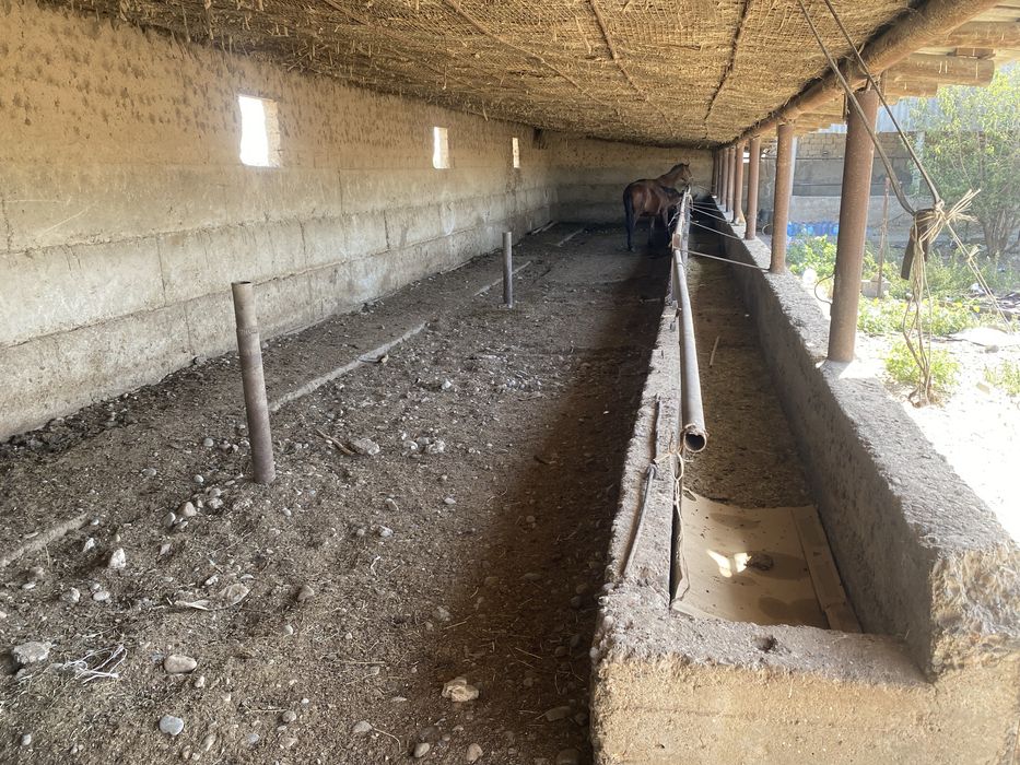 Сдаётся фирма на окраине города