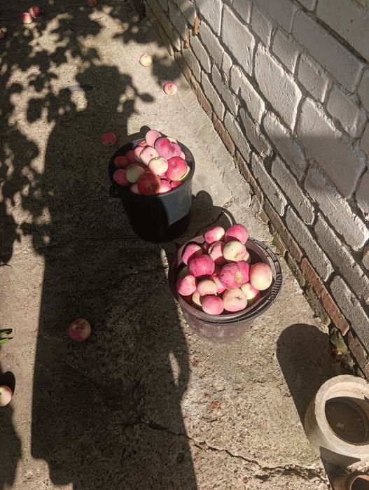 Продам дачу в районе телецентра
