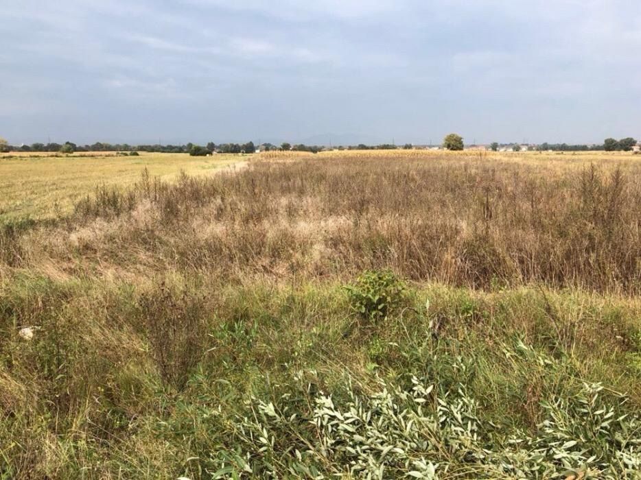 Teren intravilan, statie peco, hale, sala evenimente