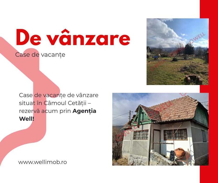 Case de vânzare în Câmpu Ceatăți, pe același teren!