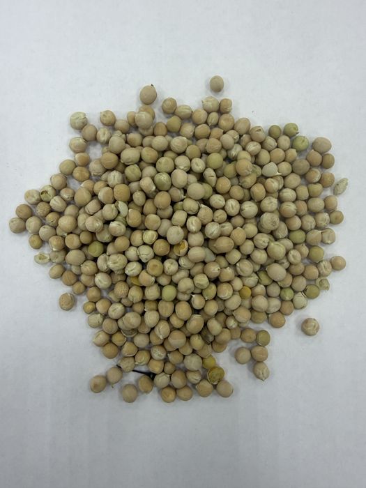 Продам горох товарный