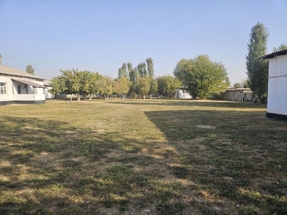 СРОЧНО! Сурум  50 сотих ер сотилади 13 500 $