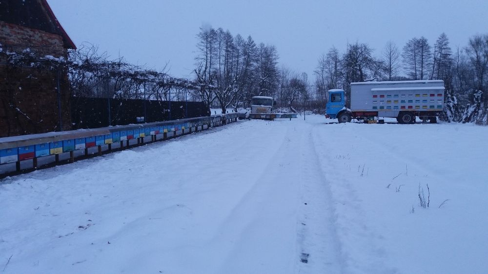 Vand familii de albine