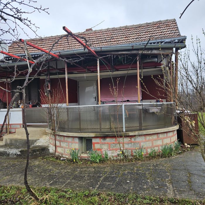 ВИЛЕН ИМОТ Врачански лозя,  м. Янкин връх