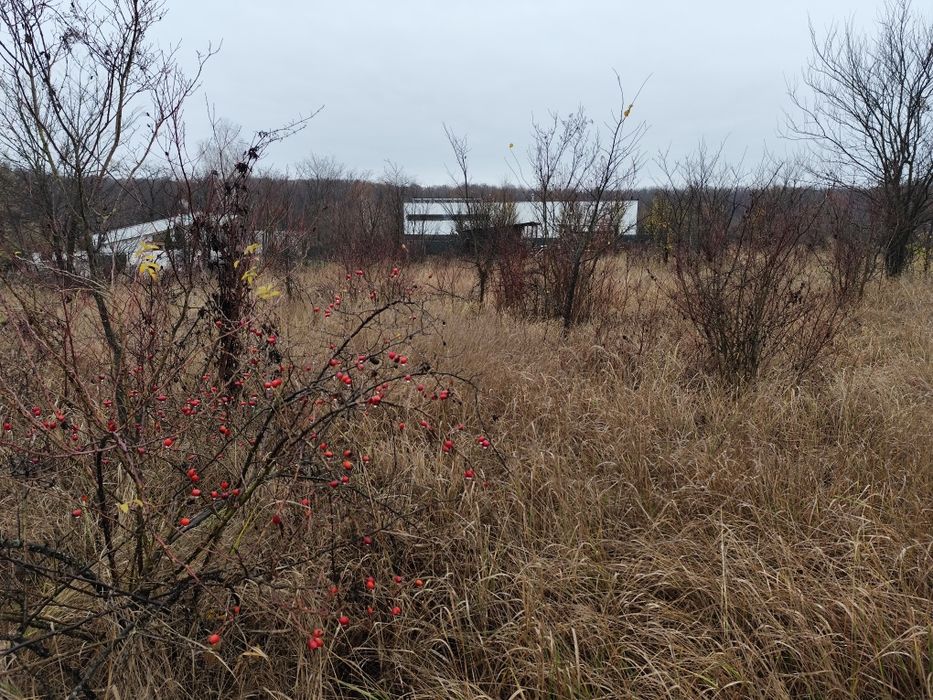 Teren Ciolpani langa lac și pădure Zona Snagov
