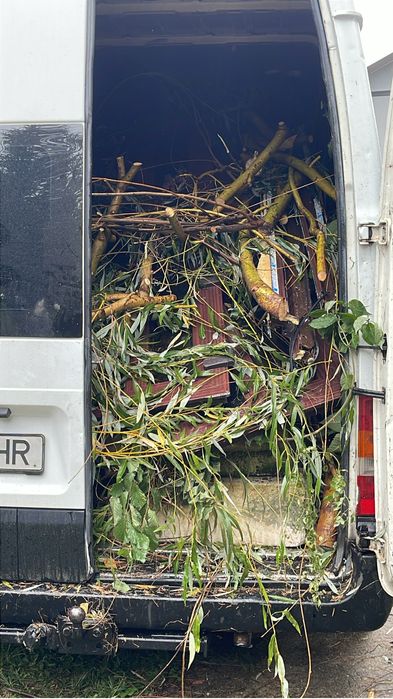 Debarasam evacom case poduri garaje becuri etc