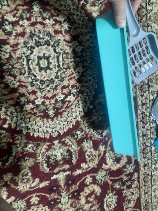 Продам лоток кошачий