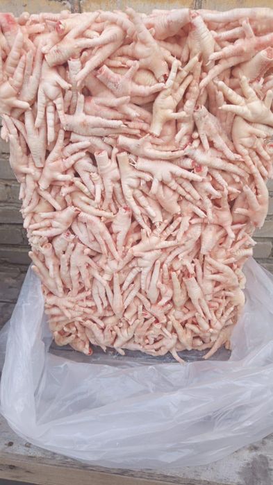 Куриные лапки. Paws