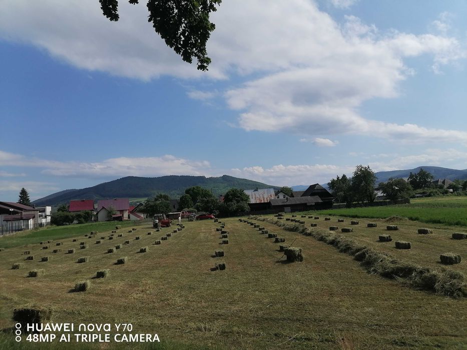 Baloți otavã de vânzare