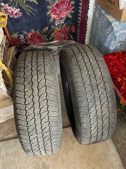 Летние покрышки