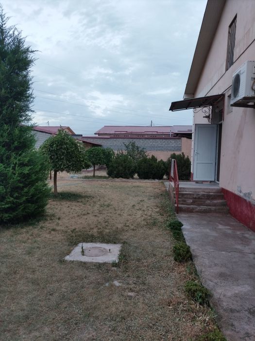 Бектемир водник ховли