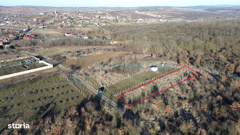 Teren intravilan in apropiere de padure, Paleu, Bihor Gaminvest V4509B