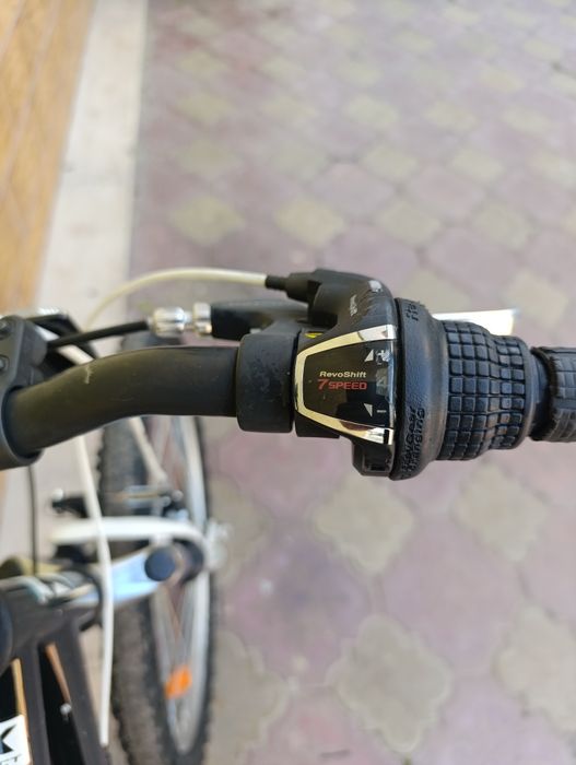 X - Fact 24 цола. .