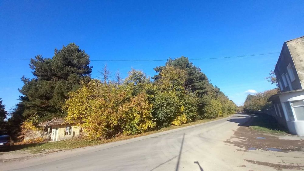 Продава се Парцел в Завет - 43470 кв.м за 10 €/кв.м - Снимка #4