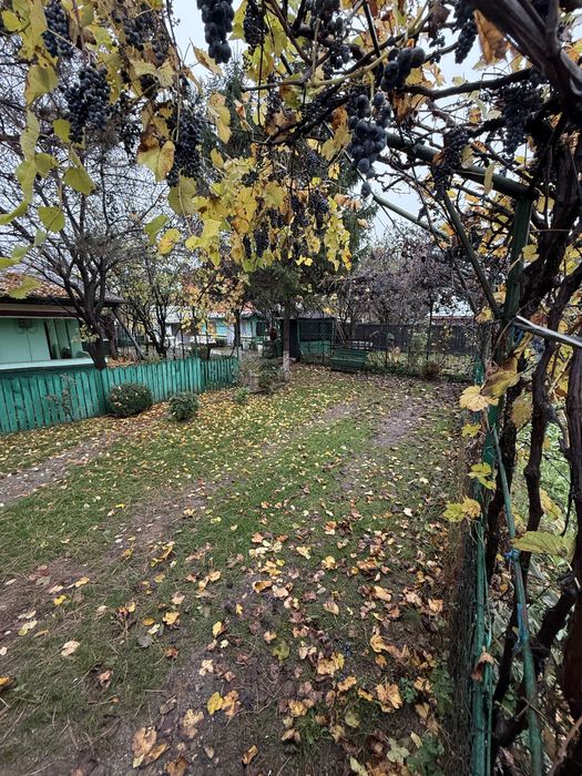 Teren de vanzare Tunari