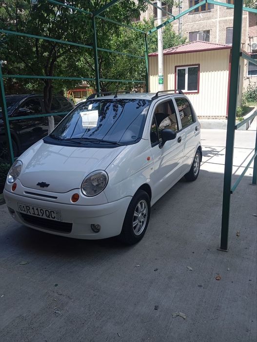 Arendaga matiz nok
