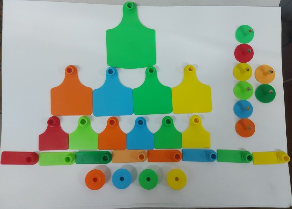 Сахна артында латина порно