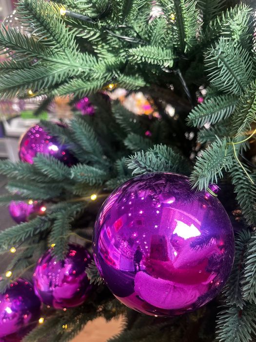 Красавчик Кот Марсель!