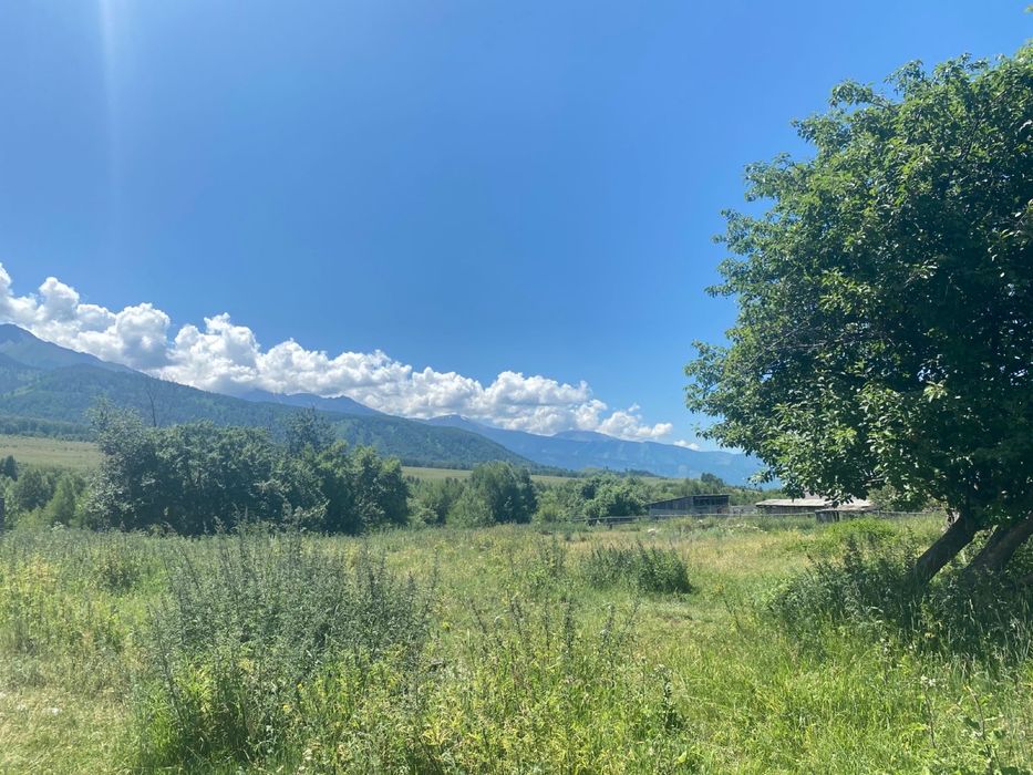 Продам частный дом село Катон карагай