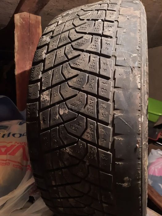 Зимние шины triangle