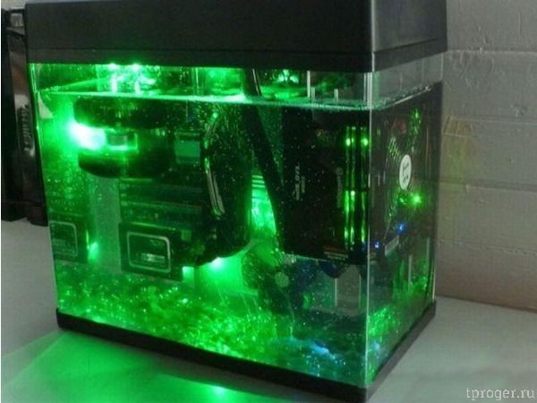 Идеи подарков и сувениров