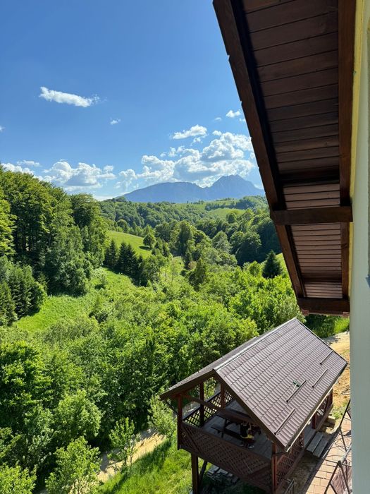 Cabana de închiriat la munte cu ciubăr! ()