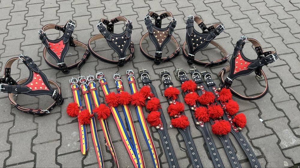 Ham pentru cainii talie mare